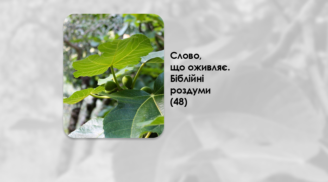 УКРАЇНСЬКА ПЕРЕДАЧА І ІНФОРМАЦІЙНИЙ ВИПУСК РАДІО ВАТИКАНУ 02.09.2024. – СЛОВО, ЩО ОЖИВЛЯЄ. БІБЛІЙНІ РОЗДУМИ – (48). –