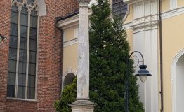PXL_20250415_110308976