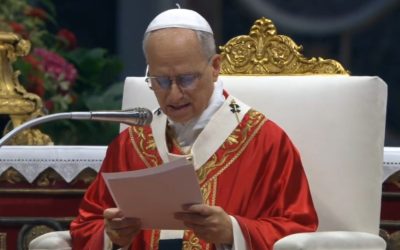 ВІТАЮ ПАЛОМНИКІВ З УКРАЇНИ, Я ЗАВЖДИ МОЛЮСЯ ЗА ВАШ НАРОД – СВЯТІШИЙ ОТЕЦЬ ПАПА ЛЕВ XIV.