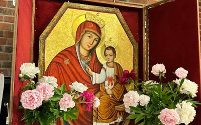 Ікона Богородиці „Милосердя Двері” в Ополю, Бжегу та Нисі