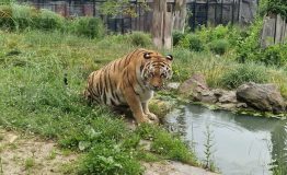 IMG-20250704-WA0084