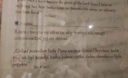 IMG_20250629_083629