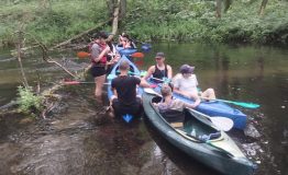 IMG_20250708_140752192