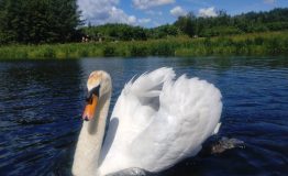 IMG_20250710_121113291