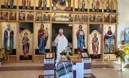 Зображення WhatsApp, дата_ 2025-09-29 о 18.24.53_1bf57944