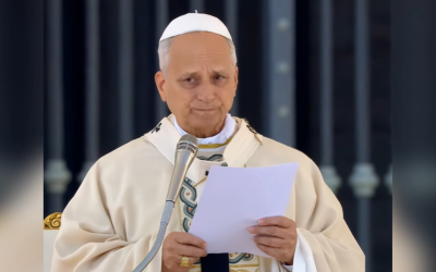НЕХАЙ ЖЕ ЗАСОБИ ВІЙНИ ПОСТУПЛЯТЬСЯ МІСЦЕМ ЗАСОБАМ МИРУ! – СВЯТІШИЙ ОТЕЦЬ ПАПА ЛЕВ XIV.