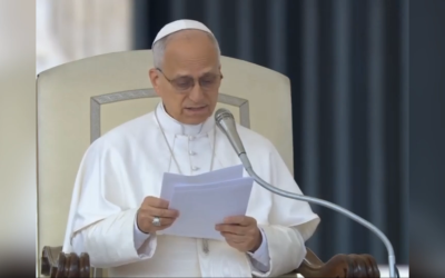 КОРІННЯ ДІАЛОГУ – В ЛЮБОВІ, ЄДИНОМУ ФУНДАМЕНТІ МИРУ – СВЯТІШИЙ ОТЕЦЬ ПАПА ЛЕВ XIV.