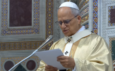 ЛИШЕ З ПОКОРОЮ, ТЕРПЕЛИВО І НА СКЕЛІ ХРИСТА МОЖЕМО БУДУВАТИ СПІЛЬНОТУ ВІРИ – СВЯТІШИЙ ОТЕЦЬ ПАПА ЛЕВ XIV.