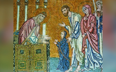 ПРОПОВІДЬ У ПРАЗНИК ВВЕДЕННЯ В ХРАМ ПРЕСВЯТОЇ ВЛАДИЧИЦІ НАШОЇ БОГОРОДИЦІ І ПРИСНОДІВИ МАРІЇ З КАПЛИЦІ БЛАГОВІЩЕННЯ У ВАТИКАНІ ВИГОЛОСИВ О. ВЕНЕДИКТ МИТНИК, ЧСВВ.