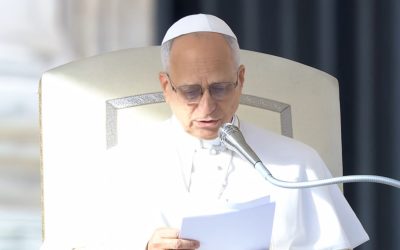 БЕЗ НАДІЇ ЖИТТЯ ЗДАЄТЬСЯ ЛИШЕ ПЕРЕРВОЮ МІЖ ВІЧНИМИ НОЧАМИ „ДО” І „ПІСЛЯ” – СВЯТІШИЙ ОТЕЦЬ ПАПА ЛЕВ XIV.