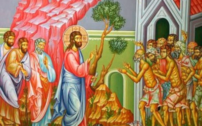 НЕДІЛЬНА ПРОПОВІДЬ 14 ГРУДНЯ 2025 РОКУ З КАПЛИЦІ БЛАГОВІЩЕННЯ У ВАТИКАНІ ВИГОЛОСИВ О. ЙОАН БОЙКО, ЧСВВ.