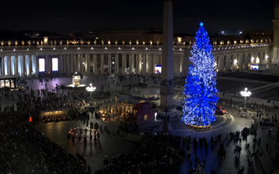 ВІДБУЛАСЯ ІНАВГУРАЦІЯ РІЗДВЯНОЇ ЯЛИНКИ ТА ВЕРТЕПУ НА ПЛОЩІ СВЯТОГО ПЕТРА.