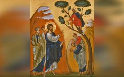 НЕДІЛЬНА ПРОПОВІДЬ ПРО ЗАКХЕЯ МИТАРЯ, З КАПЛИЦІ БЛАГОВІЩЕННЯ У ВАТИКАНІ О. ЯКІВ ШУМИЛО, ЧСВВ.