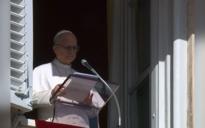 МОЛЮСЯ ЗА ТИХ, ХТО СТРАЖДАЄ ВІД ХОЛОДУ В УКРАЇНІ ЧЕРЕЗ ОБСТРІЛИ – СВЯТІШИЙ ОТЕЦЬ ПАПА ЛЕВ XIV.