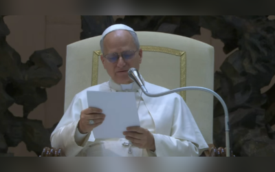 ДЯКУЮ ТИМ, ХТО ПІДТРИМУЄ НАСЕЛЕННЯ УКРАЇНИ В ЦЕЙ ЧАС СИЛЬНИХ МОРОЗІВ – СВЯТІШИЙ ОТЕЦЬ ПАПА ЛЕВ XIV.