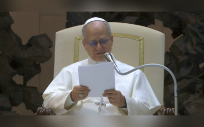 МЕТА ЧИТАННЯ СВЯТОГО ПИСЬМА – ПІЗНАТИ ХРИСТА І РОЗПОЧАТИ СТОСУНКИ З НИМ – СВЯТІШИЙ ОТЕЦЬ ПАПА ЛЕВ XIV.