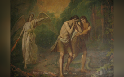 15 ЛЮТОГО – СИРОПУСНА НЕДІЛЯ.