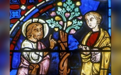 НЕДІЛЬНА ПРОПОВІДЬ – I НЕДІЛЯ ВЕЛИКОГО ПОСТУ – ВИГОЛОСИВ З КАПЛИЦІ БЛАГОВІЩЕННЯ У ВАТИКАНІ О. ПЕТРО ВЕНГРИН, ЧСВВ.