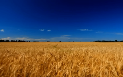 СЬОГОДНІ 21 ЛЮТОГО – МІЖНАРОДНИЙ ДЕНЬ РІДНОЇ МОВИ.