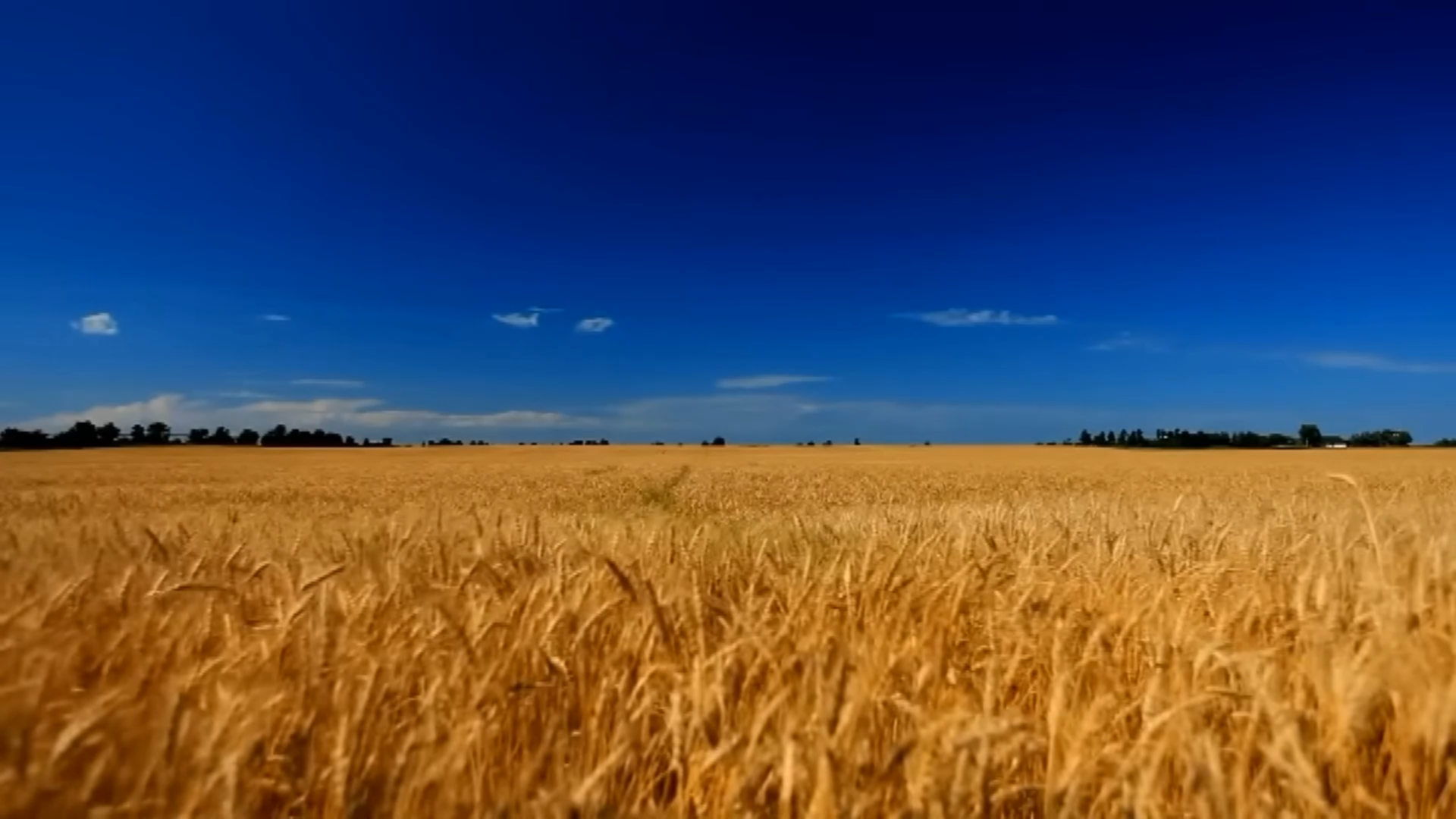 СЬОГОДНІ 21 ЛЮТОГО – МІЖНАРОДНИЙ ДЕНЬ РІДНОЇ МОВИ.