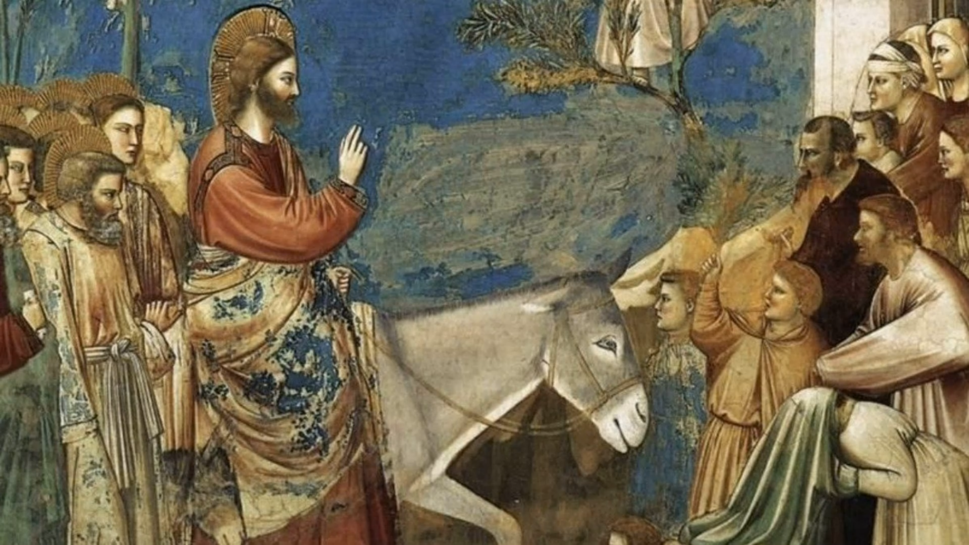 НЕДІЛЬНА ПРОПОВІДЬ, КВІТНА НЕДІЛЯ. ВХІД ГОСПОДНІЙ В ЄРУСАЛИМ З КАПЛИЦІ БЛАГОВІЩЕННЯ У ВАТИКАНІ ВИГОЛОСИВ О. ФРАНЦИСК ШИДЕЛКО, ЧСВВ.