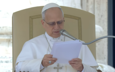 НЕ ІСНУЄ ІДЕАЛЬНОЇ, ОКРЕМОЇ ВІД ЗЕМЛІ ЦЕРКВИ, А ХРИСТОВА, ВТІЛЕНА В ІСТОРІЇ – СВЯТІШИЙ ОТЕЦЬ ПАПА ЛЕВ XIV.