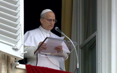 НАСИЛЬСТВО НІКОЛИ НЕ ЗМОЖЕ ПРИНЕСТИ СПРАВЕДЛИВІСТЬ І СТАБІЛЬНІСТЬ – СВЯТІШИЙ ОТЕЦЬ ПАПА ЛЕВ XIV.