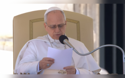 ЦЕРКВА НЕ МОЖЕ ПОМИЛЯТИСЯ ЩОДО ВІРИ, ВСІ ПОКЛИКАНІ ДО СВІДЧЕННЯ – СВЯТІШИЙ ОТЕЦЬ ПАПА ЛЕВ XIV.