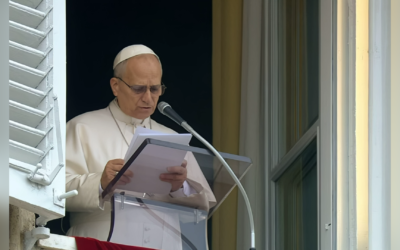 НЕ МОЖЕМО МОВЧАТИ ПЕРЕД ОБЛИЧЧЯМ СТРАЖДАНЬ, СПРИЧИНЕНИХ ВІЙНАМИ – СВЯТІШИЙ ОТЕЦЬ ПАПА ЛЕВ XIV.