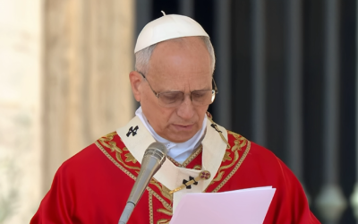 ІСУС – ЦАР МИРУ! В ЙОГО ОСТАННЬОМУ КРИКУ ЧУЄМО СТОГІН УСІХ ЖЕРТВ ВІЙНИ – СВЯТІШИЙ ОТЕЦЬ ПАПА ЛЕВ XIV.