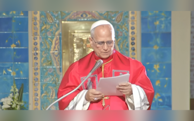 «Я ЗВЕРТАЮСЯ ДО ВСІХ СВІТОВИХ ЛІДЕРІВ: СПРОБУЙМО ПОКЛАСТИ КРАЙ ВІЙНАМ, ПІДТРИМУВАТИ МИР І ПРИМИРЕННЯ» – СВЯТІШИЙ ОТЕЦЬ ПАПА ЛЕВ XIV.