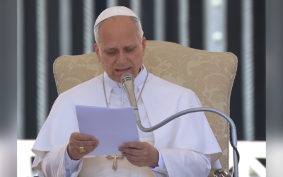 ЛІТУРГІЯ – ДЖЕРЕЛО І ВЕРШИНА ЖИТТЯ ЦЕРКВИ – СВЯТІШИЙ ОТЕЦЬ ПАПА ЛЕВ XIV.