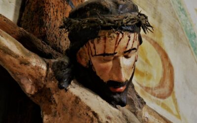У ПОШУКАХ СЕНСУ (89) БОЖЕ ОДКРОВЕННЯ І ДОСВІД ЛЮДИНИ – ПСАЛОМ (22) – О. ІЛЛЯ БРОНОВСЬКИЙ, ЧСВВ.