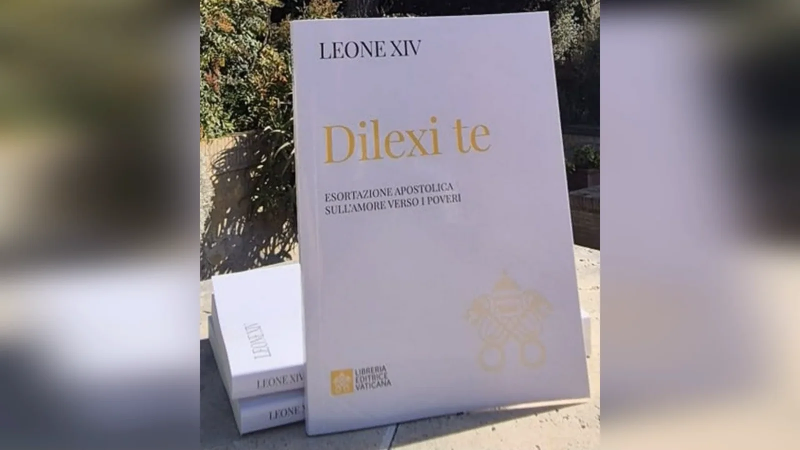 НЕМОЖЛИВО ВІДОКРЕМИТИ ВІРУ ВІД ЛЮБОВІ ДО ВБОГИХ – «DILEXI TE» – СВЯТІШИЙ ОТЕЦЬ ПАПА ЛЕВ XIV.