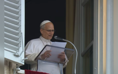 ДЯКУЮ ВСІМ, ХТО В ЦІ ДНІ МОЛИВСЯ ЗА МЕНЕ, Я ВІДЧУВАВ ВАШУ ПІДТРИМКУ – СВЯТІШИЙ ОТЕЦЬ ПАПА ЛЕВ XIV.